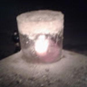 Meet your Posher, Bill